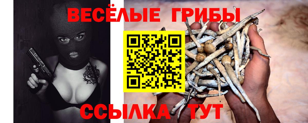 Псилоцибиновые грибы Psilocybe Елабуга